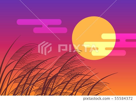Susuki和夕陽 55584372