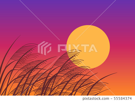 Susuki和夕陽 55584374