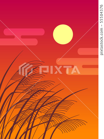 Susuki和夕陽 55584376