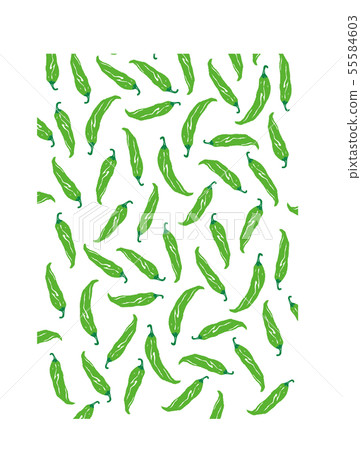 Green chili pepper pattern 55584603