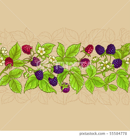boysenberry vector pattern boysenberry vector pattern 55584778