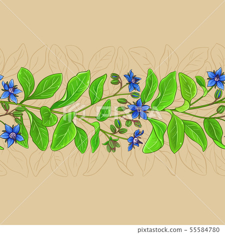 borago vector pattern borago vector pattern 55584780