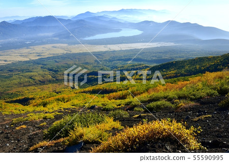 在山和山中湖附近的秋天顏色的富士山和Yoshidaguchi山徑 在山和山中湖附近的秋天顏色的富士山和Yoshidaguchi山徑 55590995