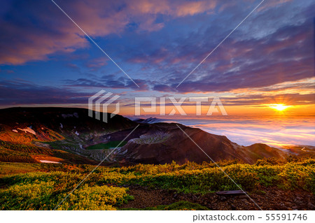 Zao的黎明和雲海 55591746