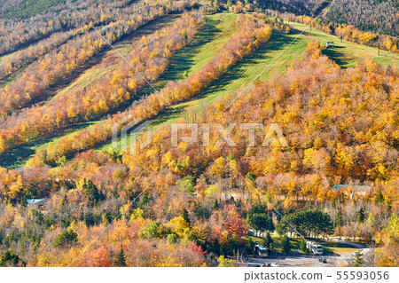 View from Artist's Bluff in autumn, New Hampshire 55593056