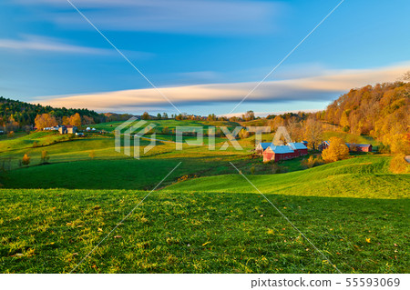Jenne Farm with barn at sunny autumn morning 55593069