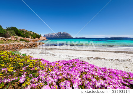 Fantastic azure water with rocks and lots of Fantastic azure water with rocks and lots of 55593114