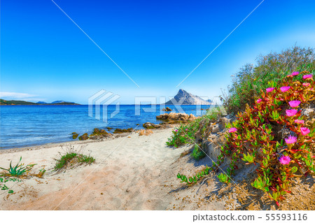 Fantastic azure water with rocks near beach Porto Fantastic azure water with rocks near beach Porto 55593116