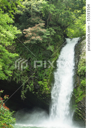 Rinno瀑布 55593504
