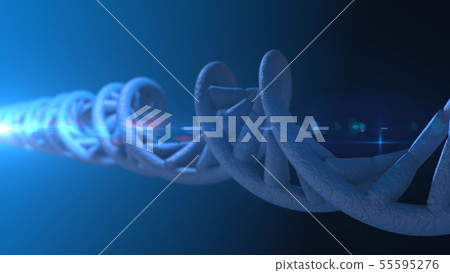 DNA. Abstract 3d polygonal wireframe DNA molecule  55595276