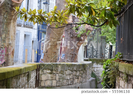 阿維尼翁 阿維尼翁 55596138