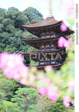 Photo of Enkoji Temple and flowers 55596804