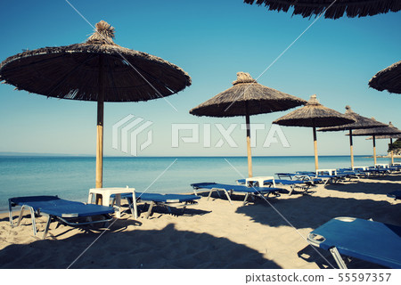One row with straw umbrellas on a beautiful beach 55597357