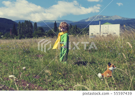 Little cute boy staying in the middle of meadow 55597439