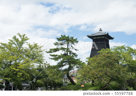 Tatsukoro Tatsukoro 55597788