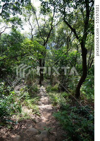 Mountain, mountain, mountain, forest, forest, Taoyuan, Hutou Mountain, sightseeing spots, entertainment Mountain, mountain, mountain, forest, forest, Taoyuan, Hutou Mountain, sightseeing spots, entertainment 55597881