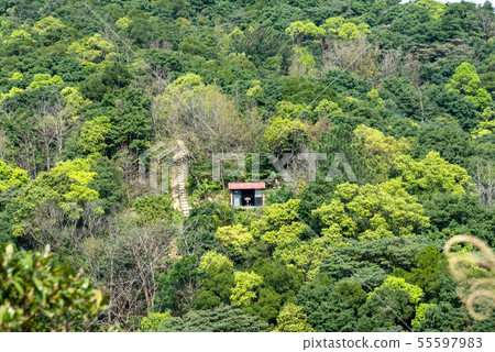 Mountain, mountain, mountain, forest, forest, Taoyuan, Hutou Mountain, sightseeing spots, entertainment Mountain, mountain, mountain, forest, forest, Taoyuan, Hutou Mountain, sightseeing spots, entertainment 55597983