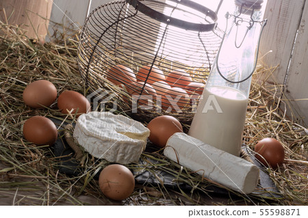Camembert cheese, eggs and milk on straw Camembert cheese, eggs and milk on straw 55598871