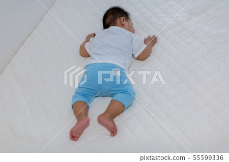 寶寶的睡臉 55599336