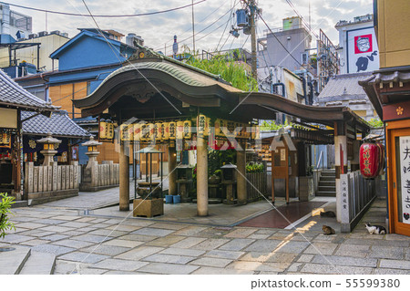 Osaka Hozenji Temple Osaka Hozenji Temple 55599380