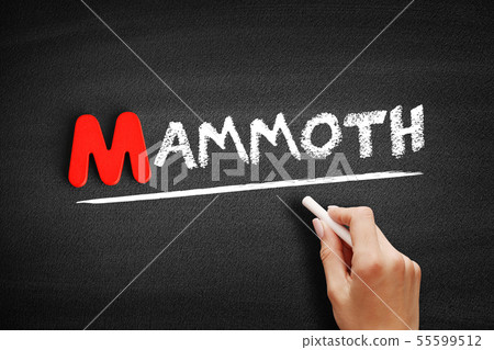 Mammoth text on blackboard Mammoth text on blackboard 55599512