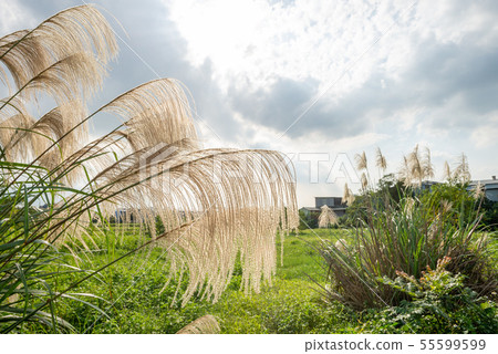 Country countryside 舎 suburb suburb こうがい suburbs countryside 55599599