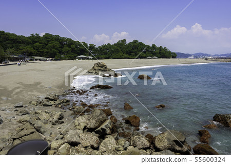 高知縣Katsurahama Kochi City 55600324