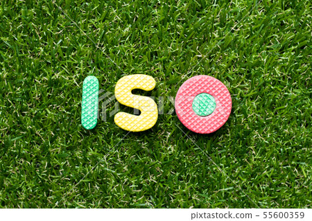 Toy foam letter in word iso on green grass 55600359