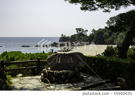 Katsurahama石碑高知縣高知縣 Katsurahama石碑高知縣高知縣 55600420