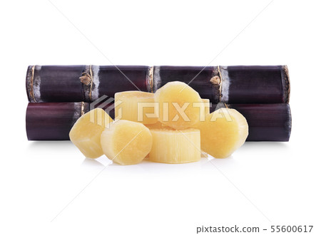 Sugarcane isolated on white background Sugarcane isolated on white background 55600617