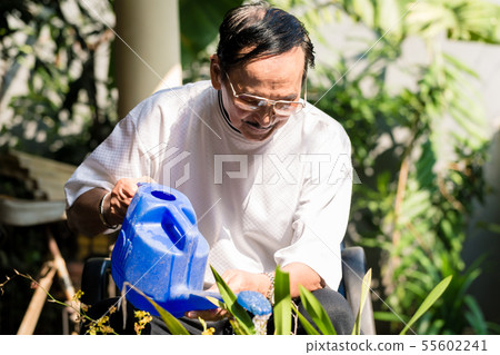 Senior man watering the plants 55602241
