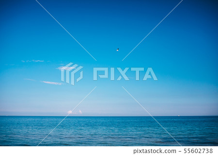 Idyllic seascape with blue water and sky Idyllic seascape with blue water and sky 55602738