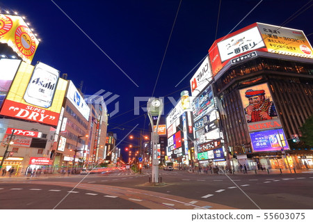[北海道]薄野十字路口的夜景 55603075