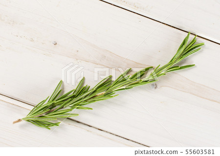 Fresh rosemary herb on grey wood Fresh rosemary herb on grey wood 55603581