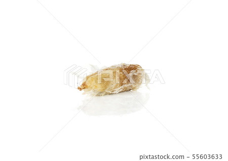 Dried date medjool isolated on white 55603633