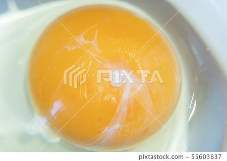 An egg An egg 55603837