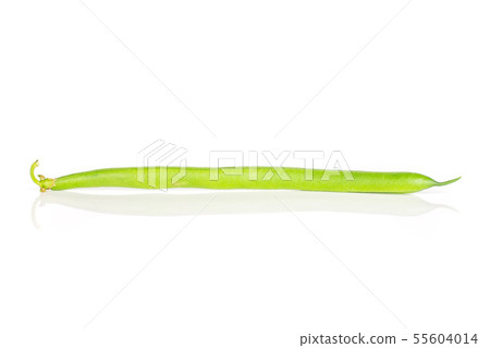 Fresh green bean isolated on white 55604014