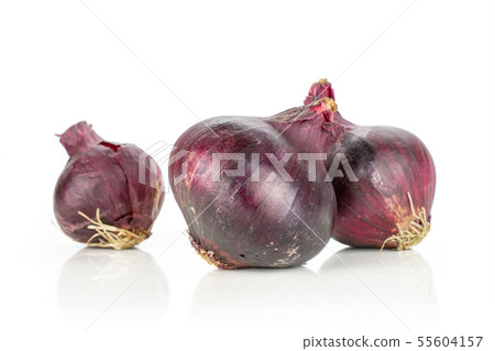 Stale red onion isolated on white Stale red onion isolated on white 55604157