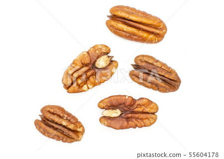 Fresh pecan nut isolated on white Fresh pecan nut isolated on white 55604178