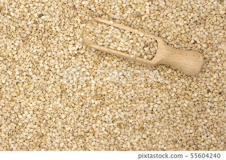 Unpeeled sesame seeds isolated 55604240