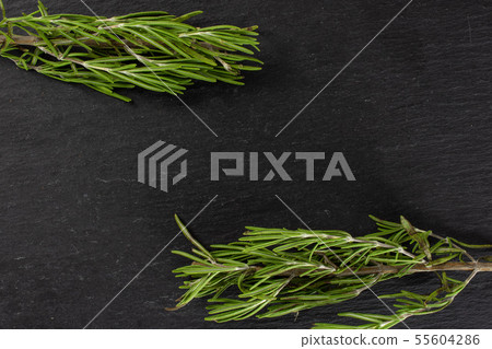Fresh rosemary herb on grey stone Fresh rosemary herb on grey stone 55604286