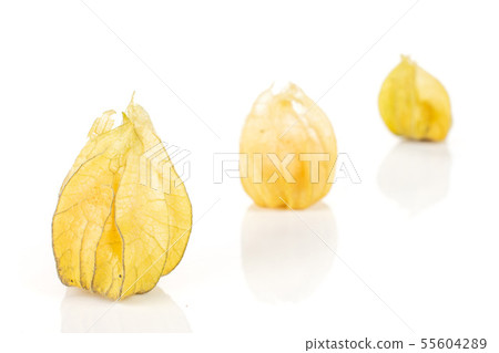 Fresh orange physalis isolated on white Fresh orange physalis isolated on white 55604289