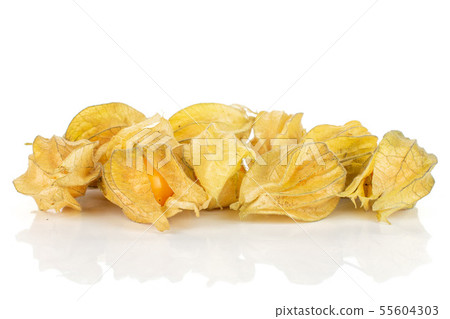 Fresh orange physalis isolated on white 55604303