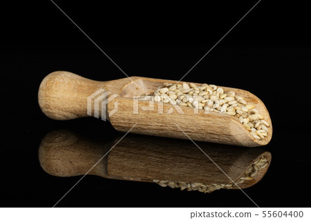 Unpeeled sesame seeds isolated on black glass Unpeeled sesame seeds isolated on black glass 55604400