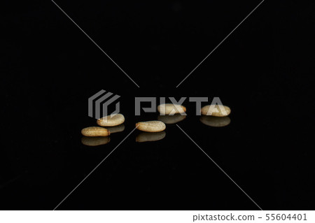 Unpeeled sesame seeds isolated on black glass Unpeeled sesame seeds isolated on black glass 55604401