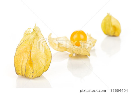 Fresh orange physalis isolated on white Fresh orange physalis isolated on white 55604404