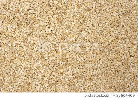 Unpeeled sesame seeds isolated 55604409