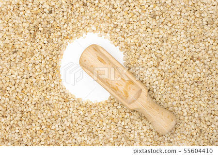 Unpeeled sesame seeds isolated 55604410