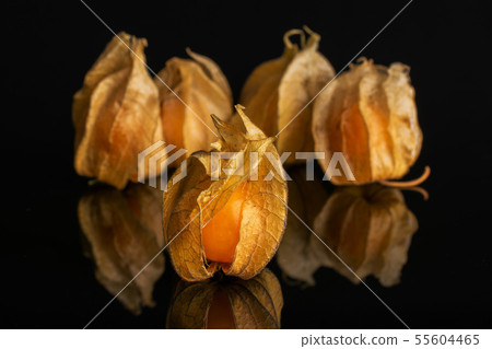 Fresh orange physalis isolated on black glass Fresh orange physalis isolated on black glass 55604465