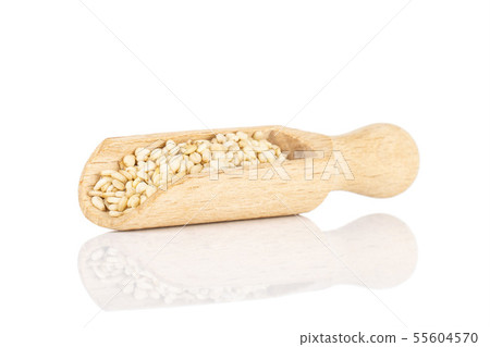 Unpeeled sesame seeds isolated on white Unpeeled sesame seeds isolated on white 55604570